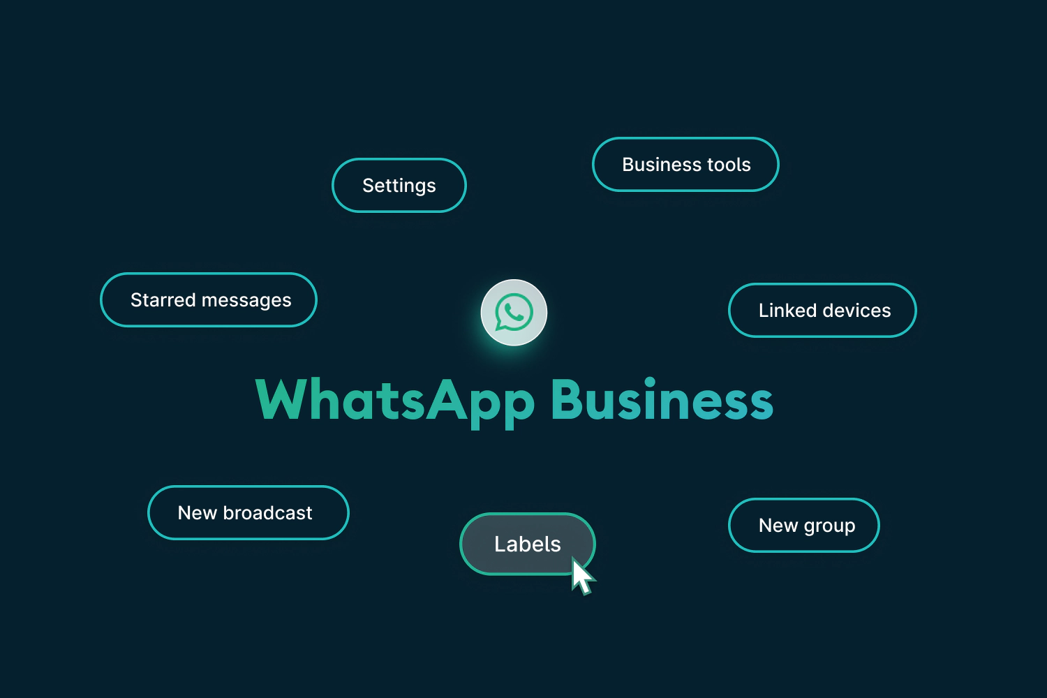 Features of WhatsApp