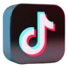 tiktok-paid-social-media-marketing-techwrath